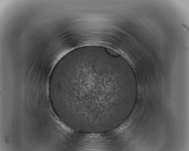 X0000096490846200801311617