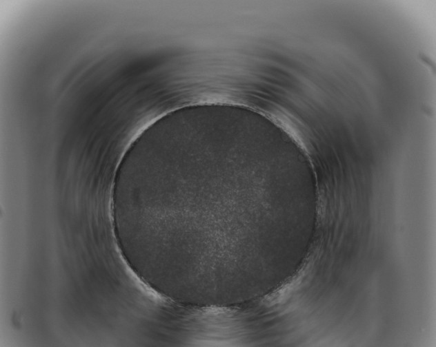 X0000096490847200801311617