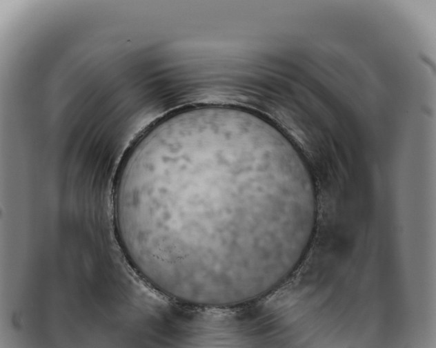 X0000096490848200801311617