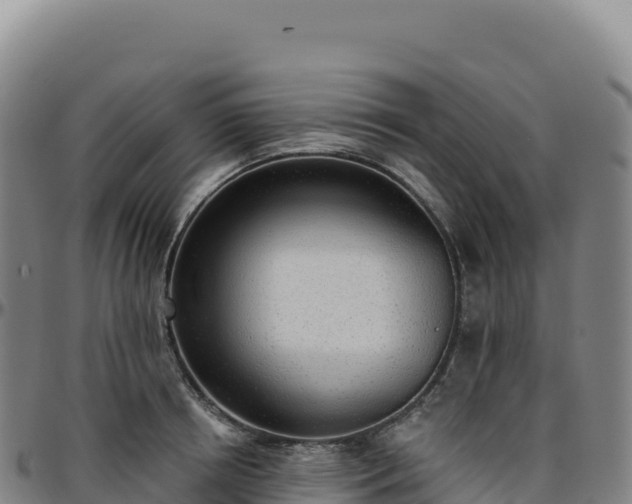 X0000096490850200801311617