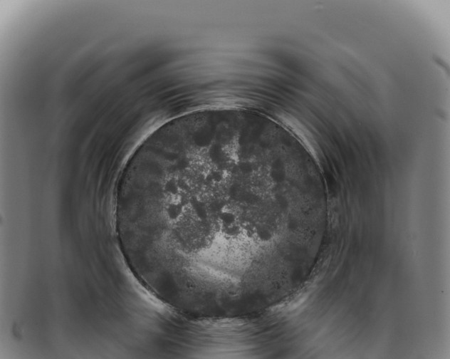 X0000096490851200801311617