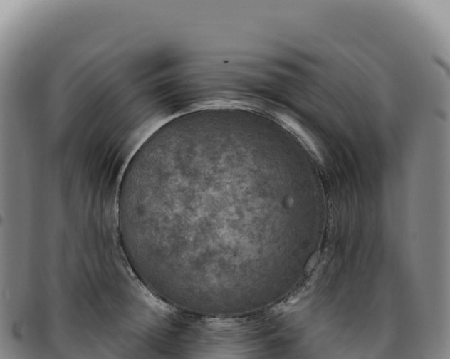 X0000096490852200801311617