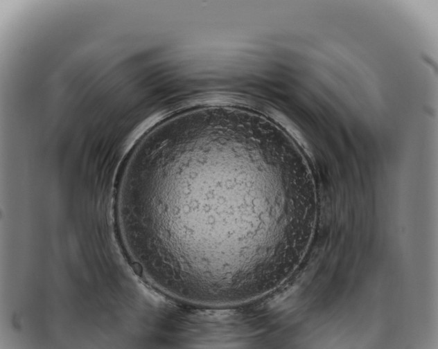 X0000096490853200801311617