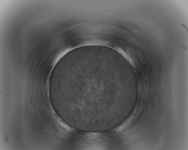 X0000096490854200801311617