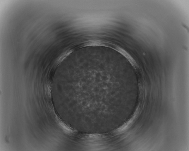 X0000096490857200801311617