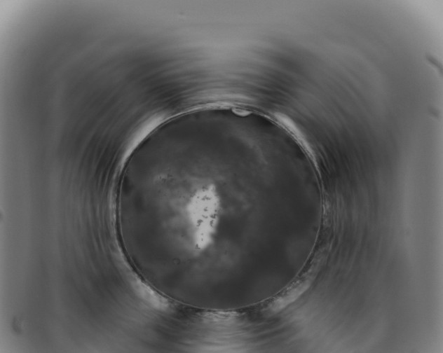 X0000096490859200801311617