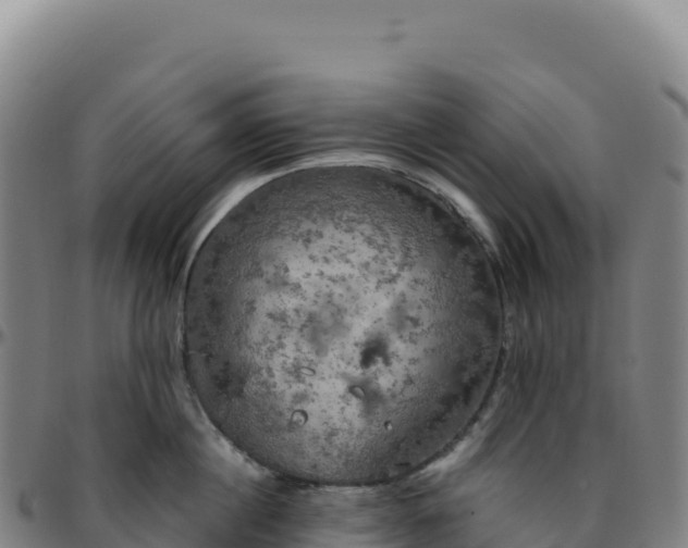 X0000096490860200801311617