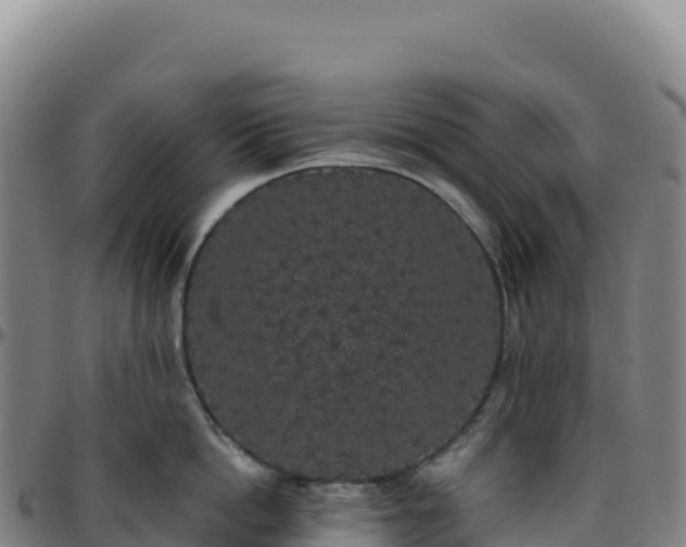 X0000096490862200801311617