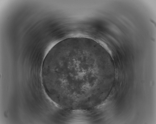 X0000096490863200801311617