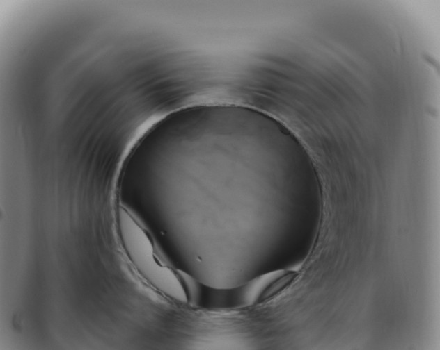 X0000096490864200801311617