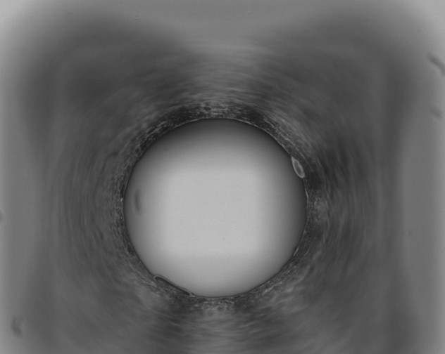 X0000096490865200801311616