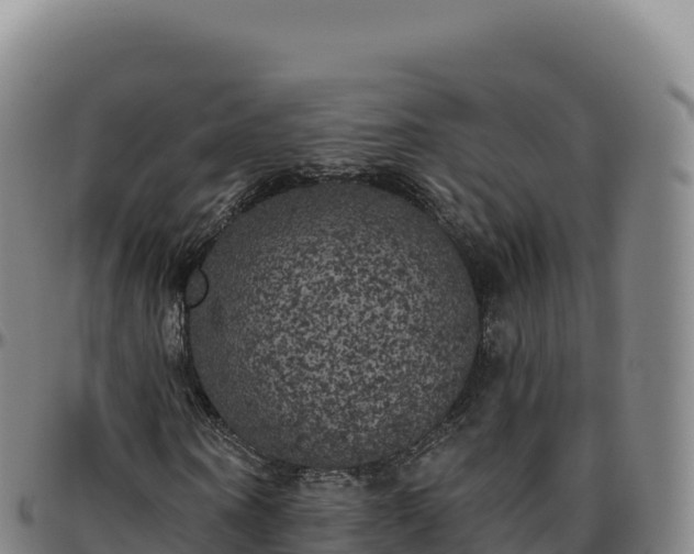 X0000096490866200801311616