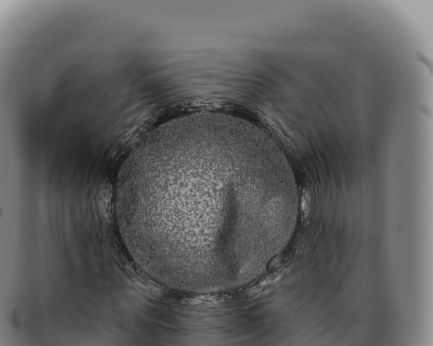 X0000096490867200801311616