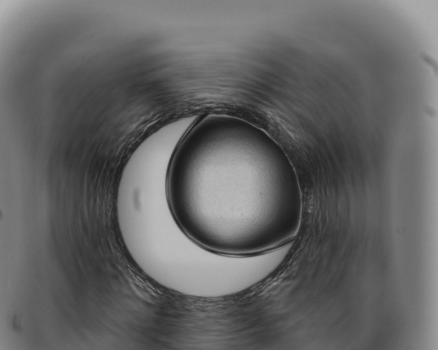 X0000096490868200801311616