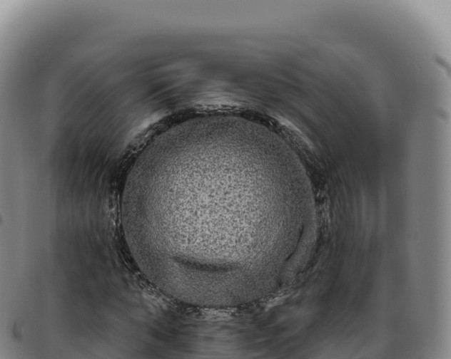 X0000096490870200801311616