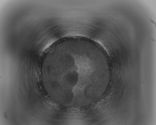 X0000096490871200801311616