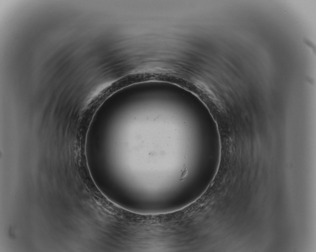 X0000096490872200801311616