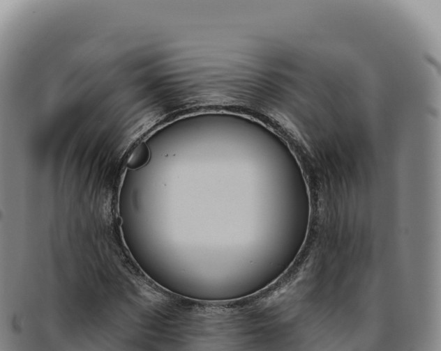 X0000096490873200801311616