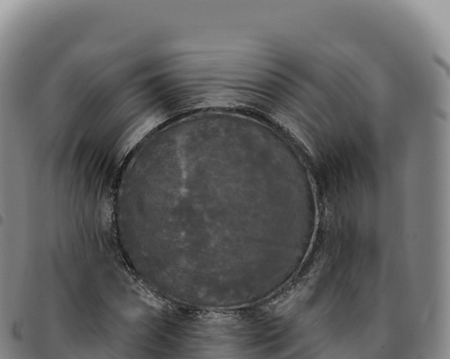 X0000096490874200801311616