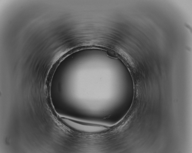 X0000096490876200801311616