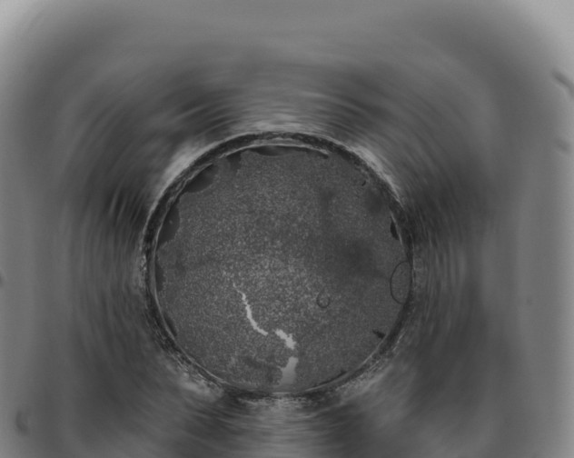 X0000096490879200801311616