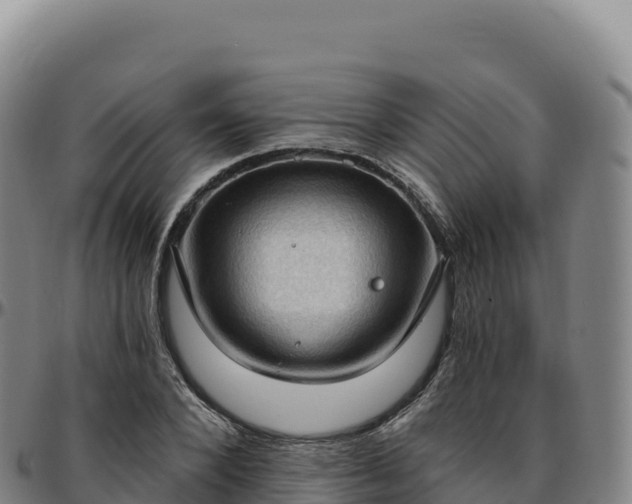 X0000096490880200801311616