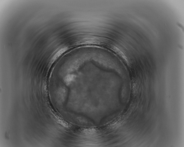 X0000096490882200801311616