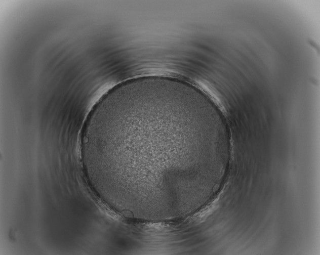 X0000096490883200801311616