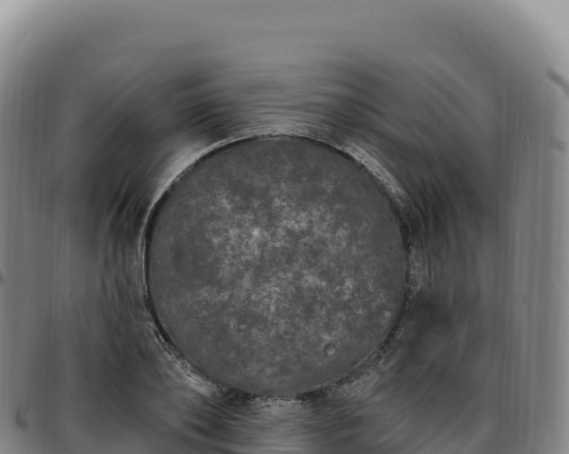 X0000096490886200801311616