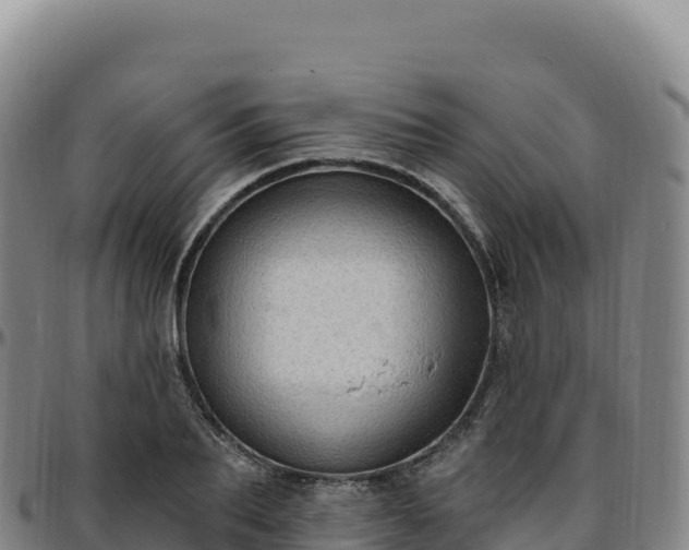 X0000096490887200801311616