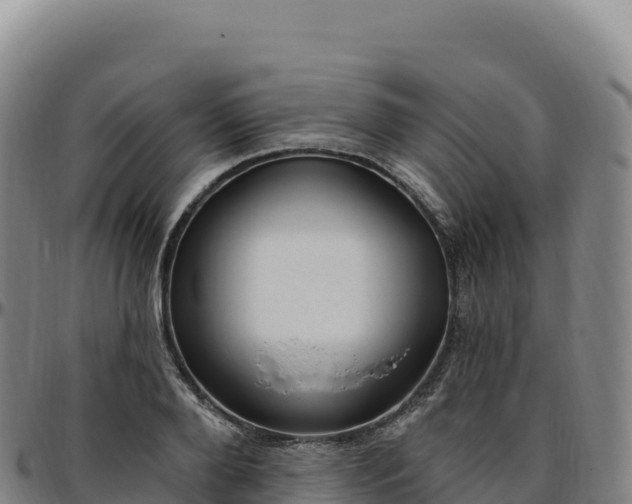 X0000096490888200801311616