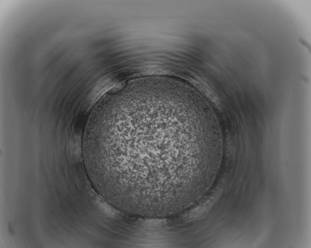 X0000096490889200801311616