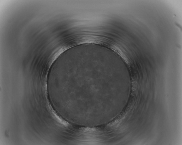 X0000096490890200801311616