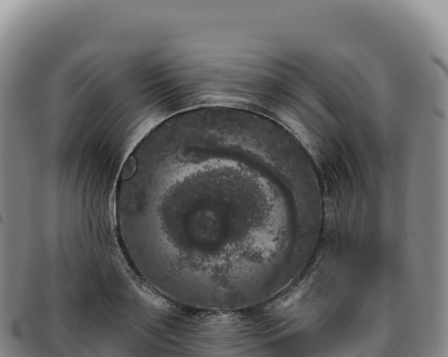 X0000096490891200801311616