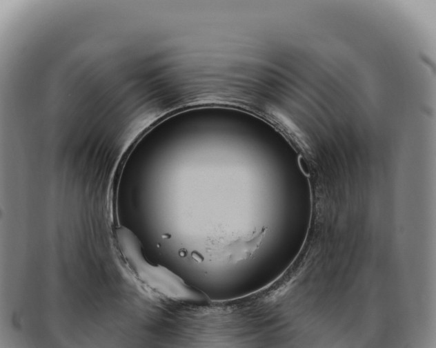 X0000096490892200801311616