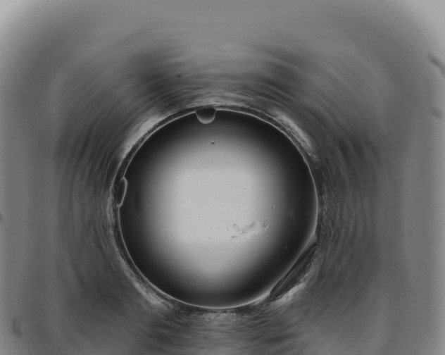 X0000096490893200801311616