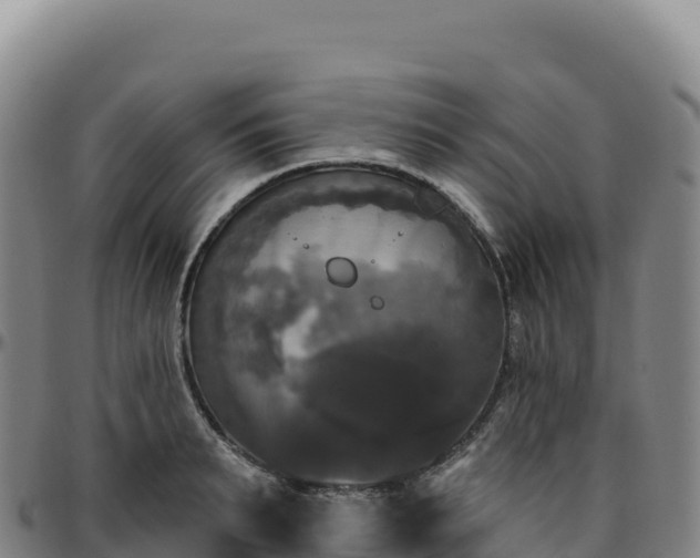 X0000096490895200801311616