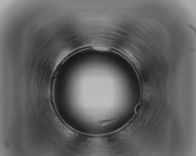 X0000096490896200801311616