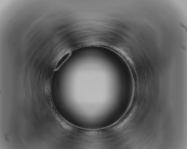 X0000096490897200801311616