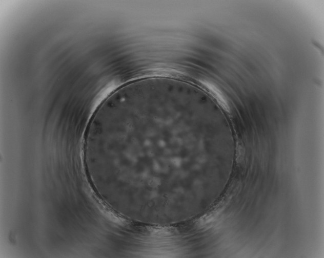 X0000096490899200801311616