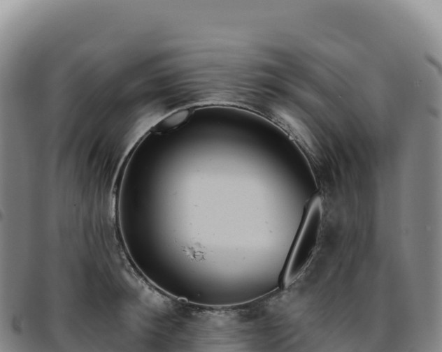 X0000096490900200801311616