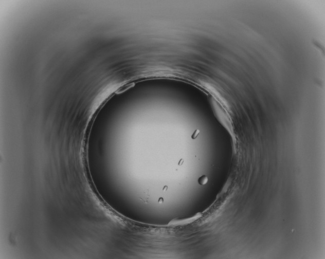 X0000096490901200801311616