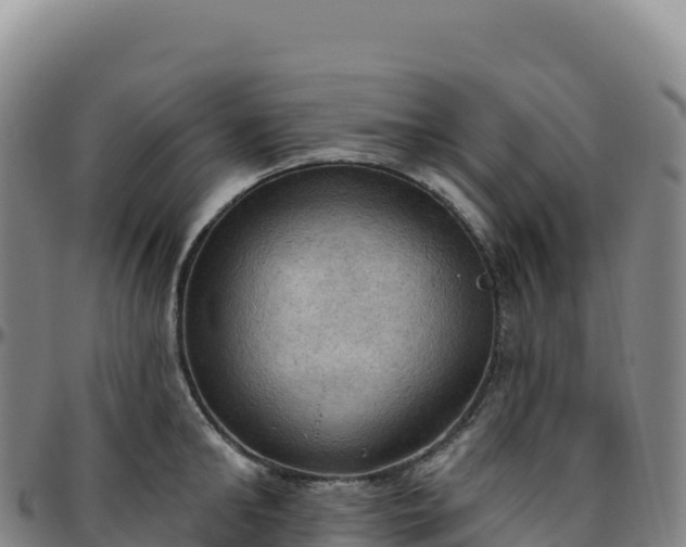 X0000096490902200801311616