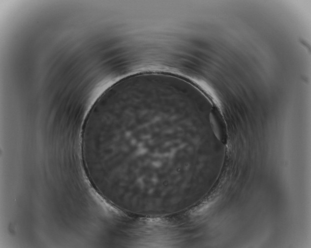 X0000096490903200801311616