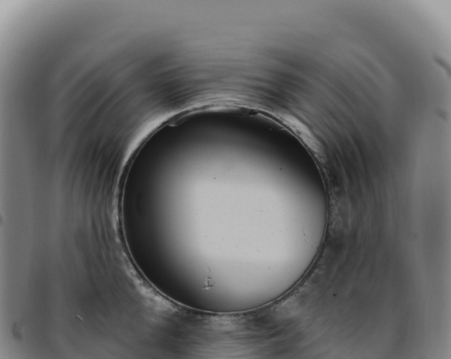 X0000096490904200801311616