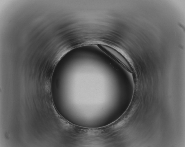 X0000096490905200801311616