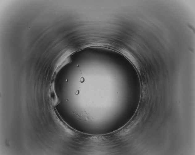 X0000096490906200801311616