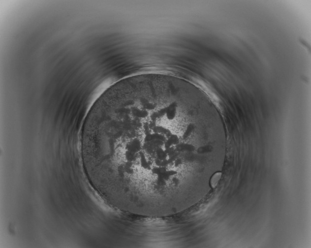 X0000096490907200801311616