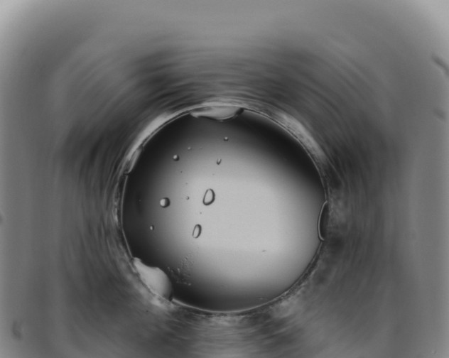 X0000096490908200801311616