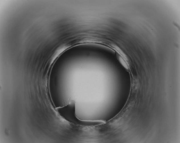 X0000096490909200801311616